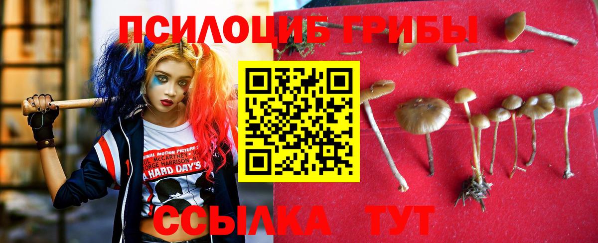 Галлюциногенные грибы Magic Shrooms  Вход с VPN  Абинск 